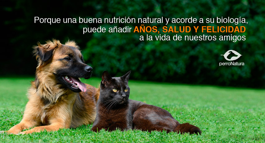 nutricion_natural_perros